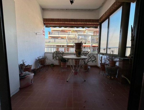 Piso en venta en marti codolar