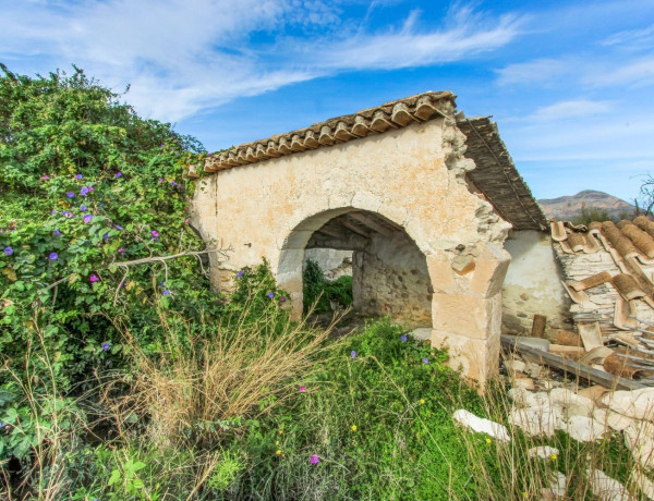 Finca rústica en venta en Centro