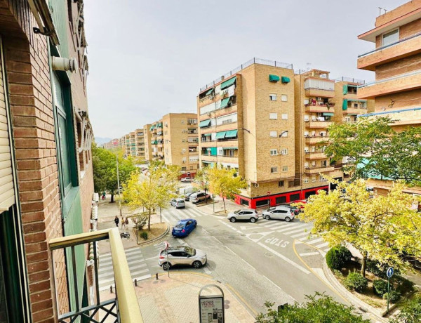 Alquiler de Piso en calle Pintor Manuel Maldonado