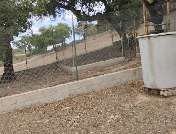 Terreno en venta en carretera de la vega s/n