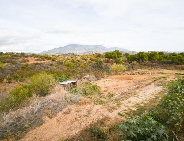 Finca rústica en venta en La Cala Golf - Lagar Martell