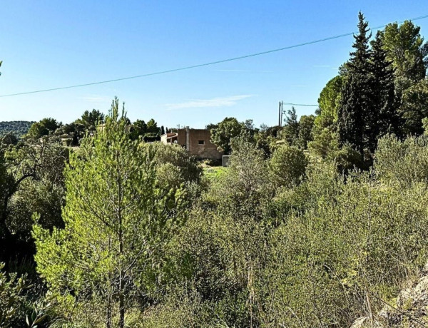 Terreno en venta en Puigpunyent