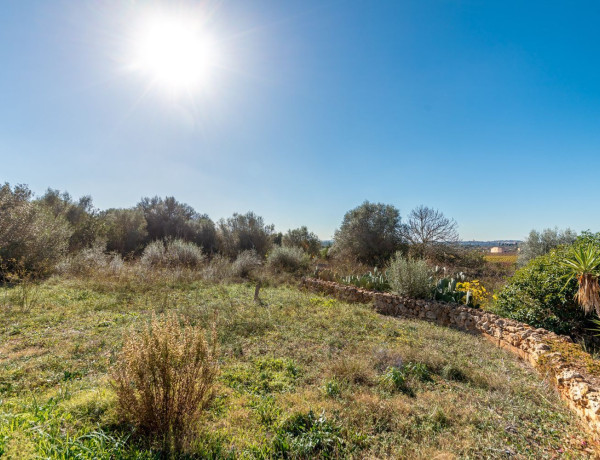 Casa rural en venta en Santa Margalida