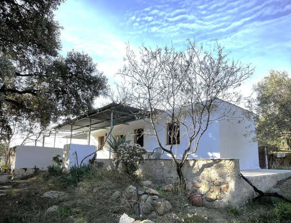 Finca rústica en venta en camino de Casarabonela a Álora