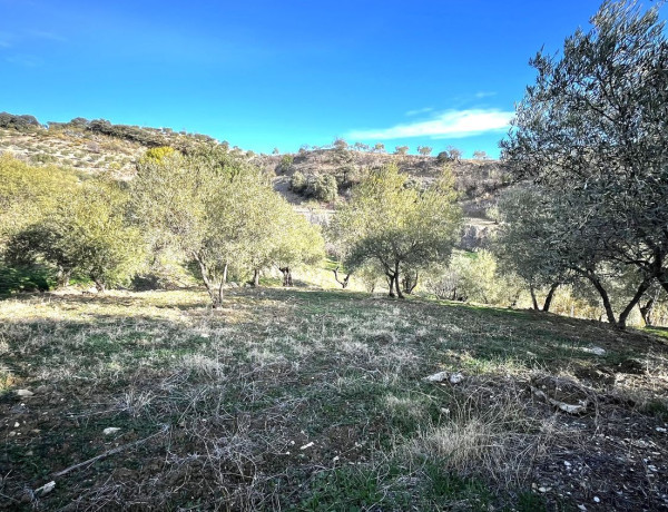 Finca rústica en venta en camino de Casarabonela a Álora