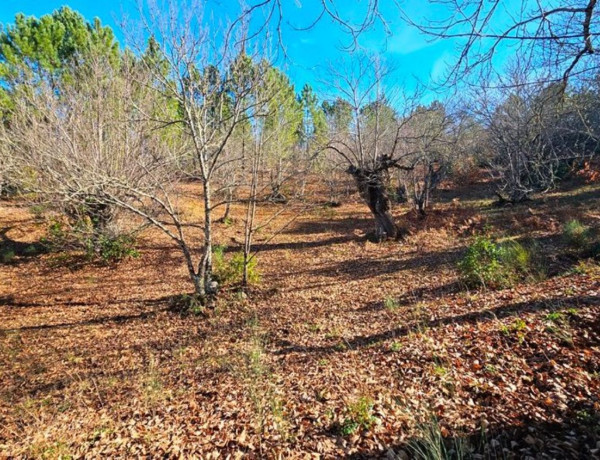 Terreno en venta en Galaroza