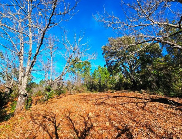 Terreno en venta en Galaroza