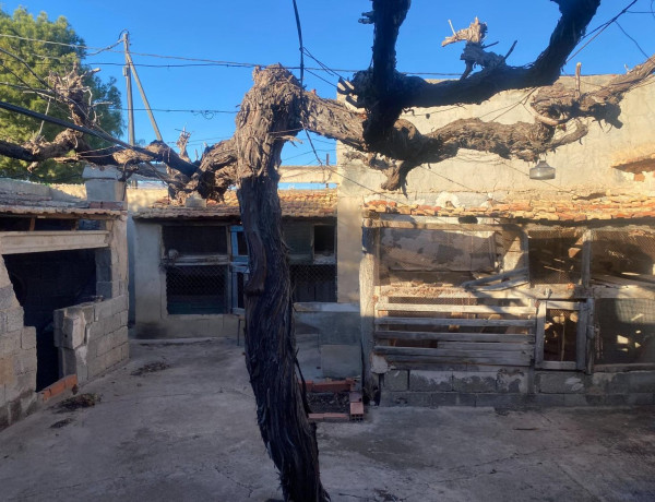 Finca rústica en venta en Algoda-Matola-Llano de San José