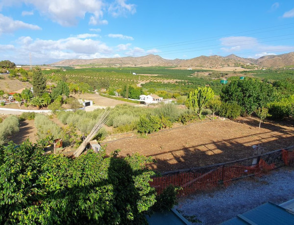 Terreno en venta en palo verde