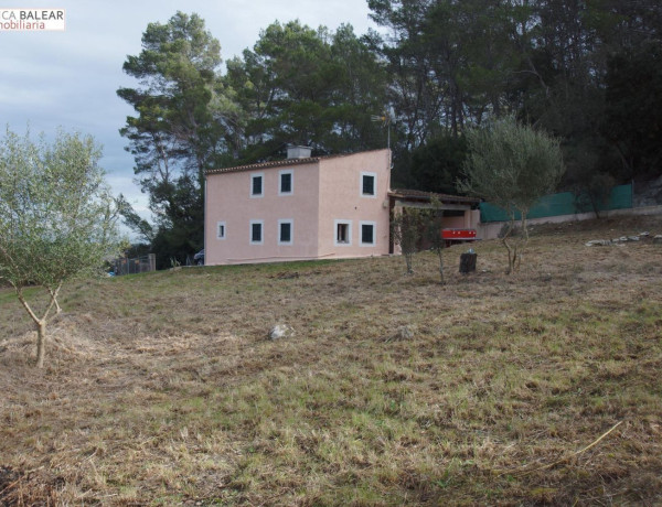 Finca rústica en venta en Llubi