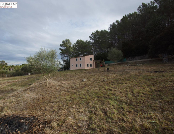 Finca rústica en venta en Llubi