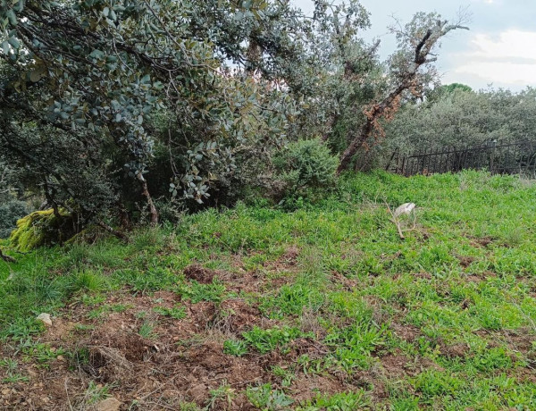 Terreno en venta en Villa del Prado