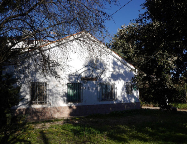 Casa o chalet independiente en venta en Madroño s/n