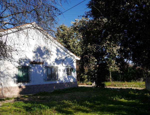 Casa o chalet independiente en venta en Madroño s/n