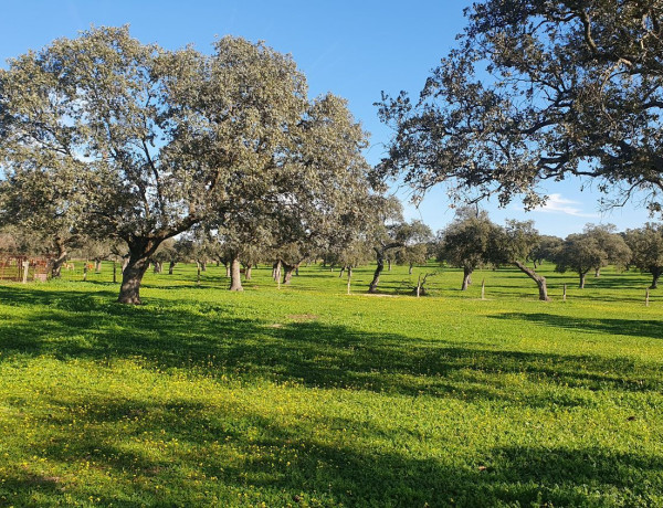 Terreno en venta en carretera De Villanueva De Cordoba