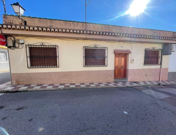 Casa o chalet independiente en venta en Albolote