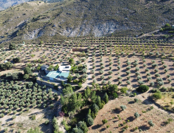 Finca rústica en venta en Vía