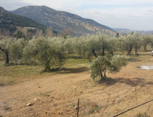 Finca rústica en venta en Vía