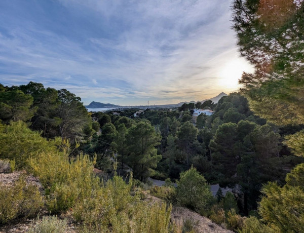 Terreno en venta en calle la Guatla