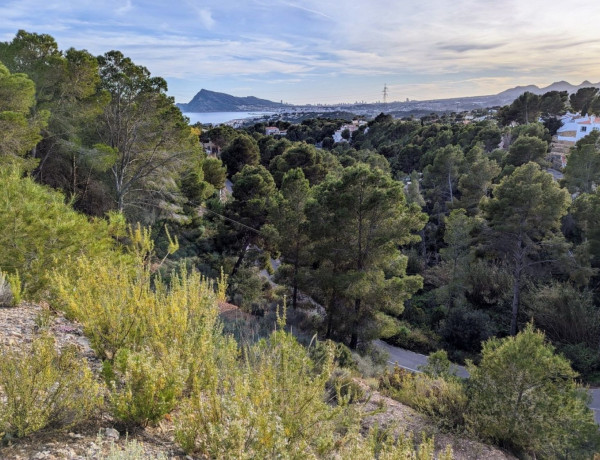 Terreno en venta en calle la Guatla