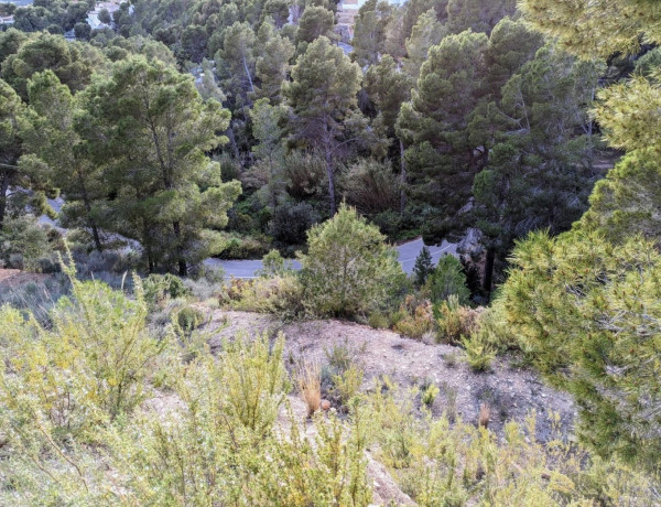 Terreno en venta en calle la Guatla