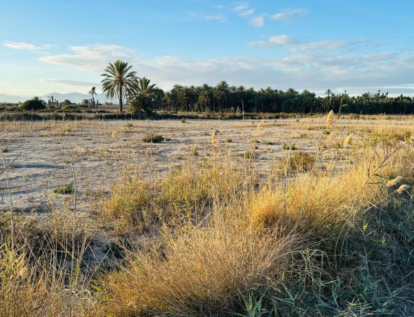 Terreno en venta en Partida Hoya