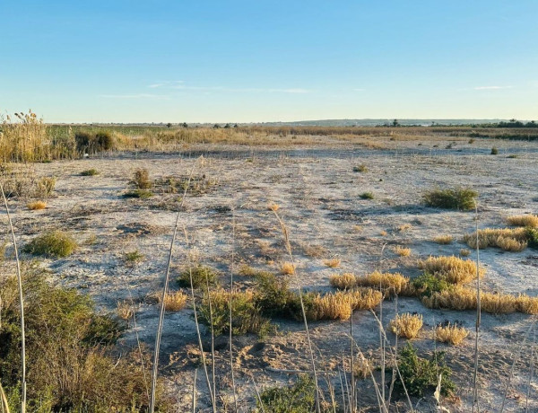 Terreno en venta en Partida Hoya