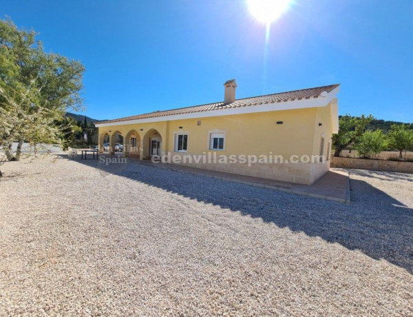 Casa o chalet independiente en venta en Pinoso