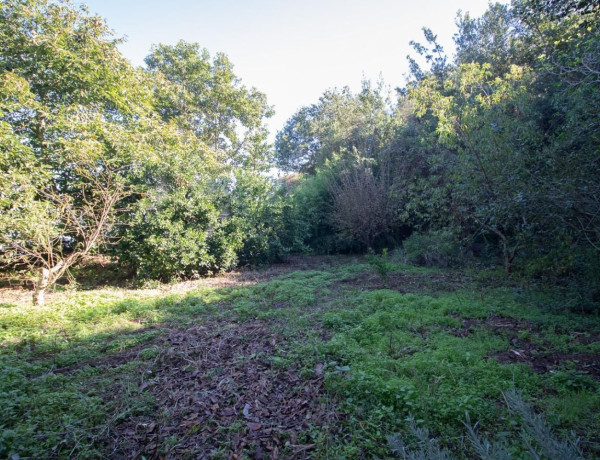 Terreno en venta en Garachico