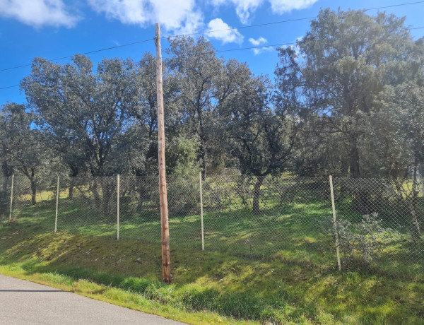 Terreno en venta en San Roman de los Montes