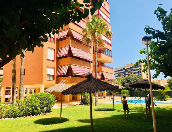 Alquiler de Piso en Playa de San Juan