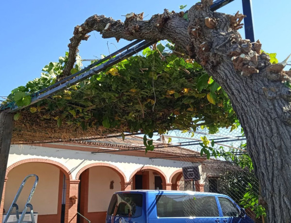 Finca rústica en venta en Urb. El Palmar de Valsequillo, Cantillana