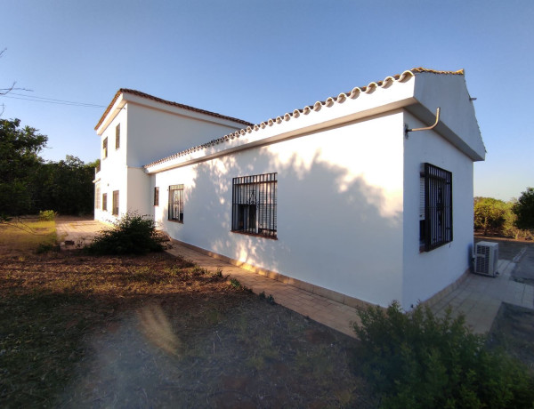 Casa o chalet independiente en venta en calle Lope de Vega, 18 C