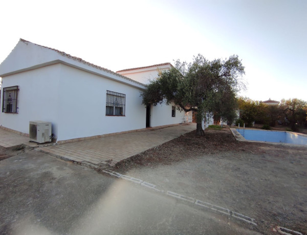 Casa o chalet independiente en venta en calle Lope de Vega, 18 C