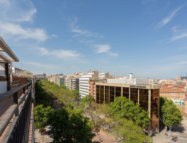 Alquiler de Piso en avenida de Josep Tarradellas
