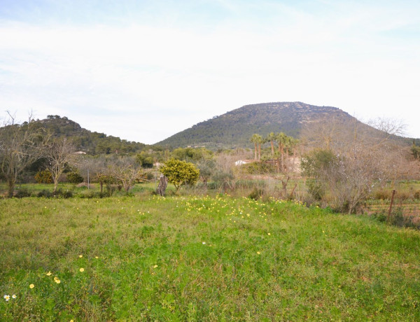 Finca rústica en venta en Lugar Poligono 11