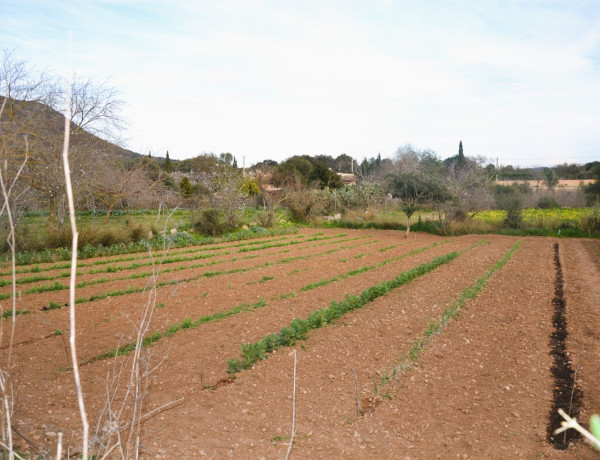 Finca rústica en venta en Lugar Poligono 11