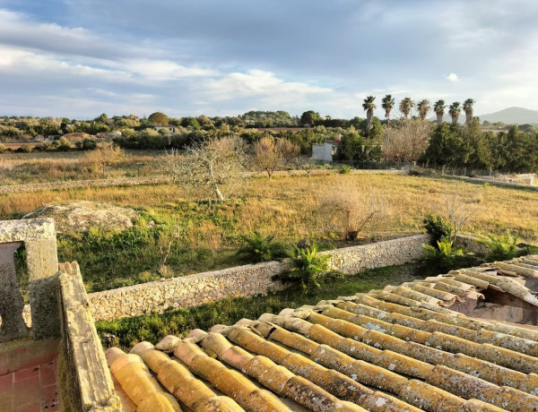 Finca rústica en venta en Porto Cristo