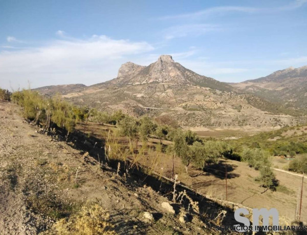 Terreno en venta en Zahara