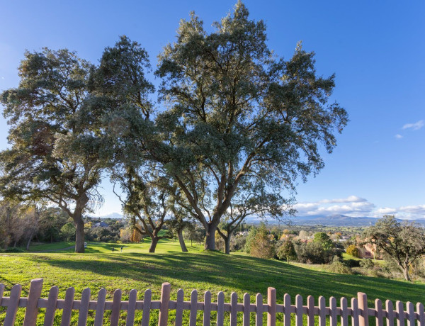 Casa o chalet independiente en venta en Urb. Ciudalcampo, Ciudalcampo