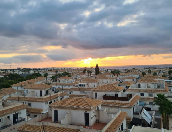 Piso en venta en Playa Flamenca