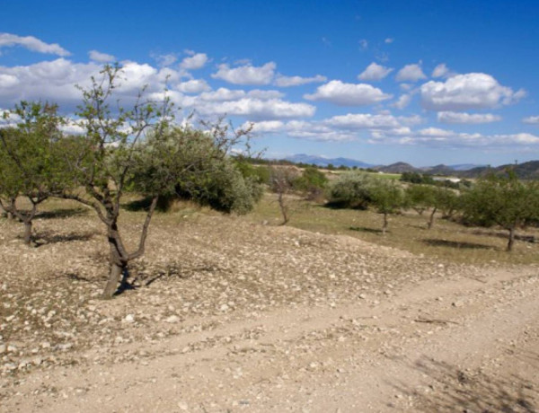 Terreno en venta en Zarcilla de Ramos-Doña Inés