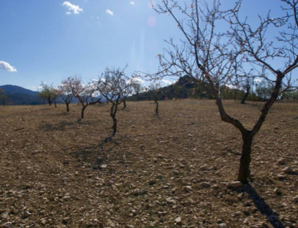 Terreno en venta en Zarcilla de Ramos-Doña Inés