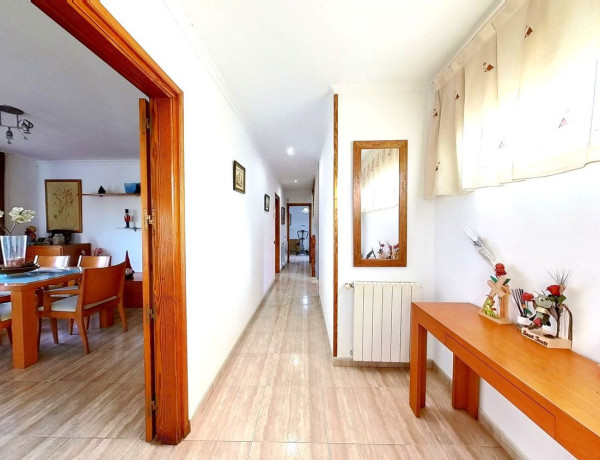 Casa o chalet independiente en venta en Puigsacalm