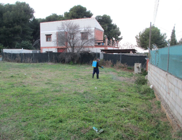 Terreno en venta en calle Mioporo s/n