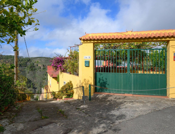 Finca rústica en venta en Vega de San Mateo