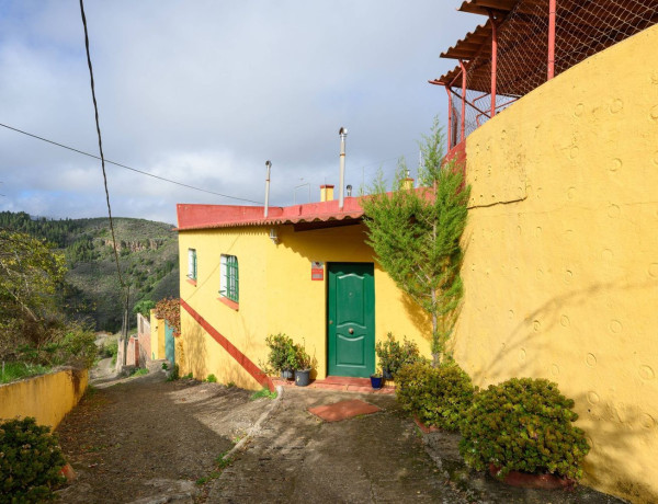 Finca rústica en venta en Vega de San Mateo