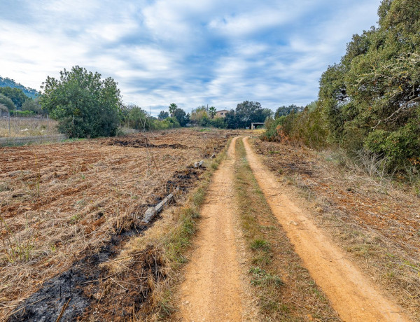 Finca rústica en venta en Poligono Poligon 34