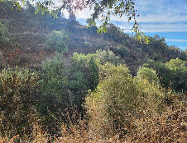 Terreno en venta en calle Cedro