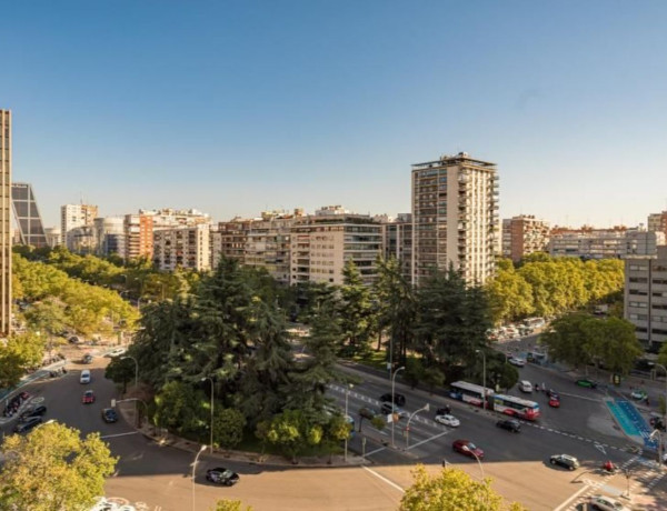 Piso en venta en paseo castellana